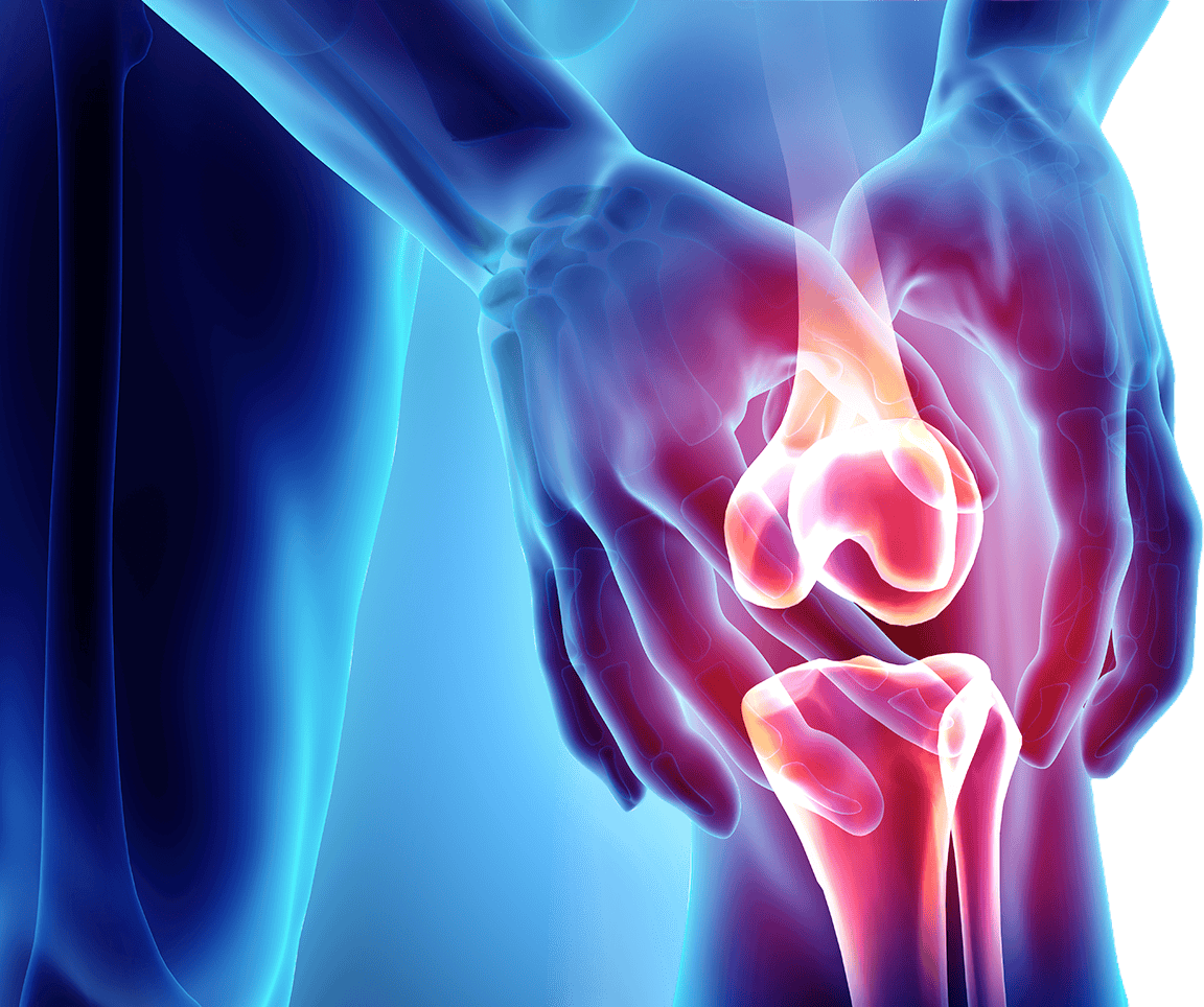 Digital illustration of knee joint pain highlighting nerves and discs for knee pain relief.